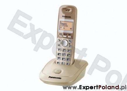 Telefon bezprzewodowy DECT Panasonic KX-TG2511